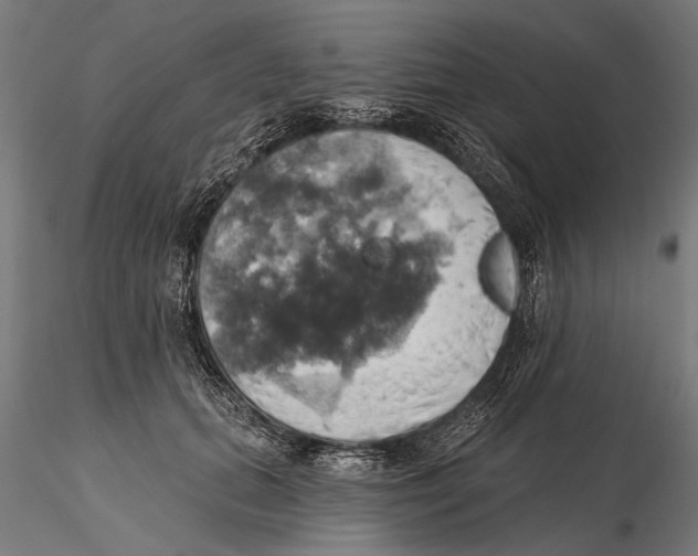 X0000115590655200912081050