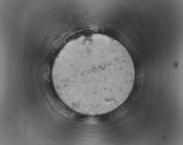 X0000115590656200912081050