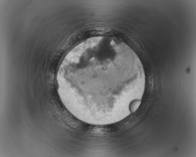 X0000115590657200912081050