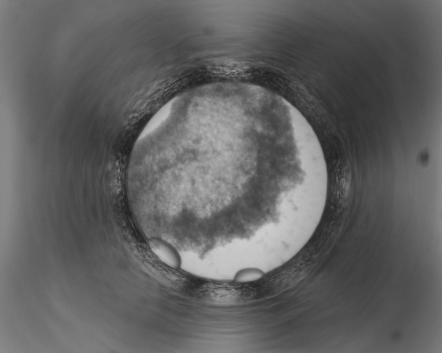 X0000115590658200912081050