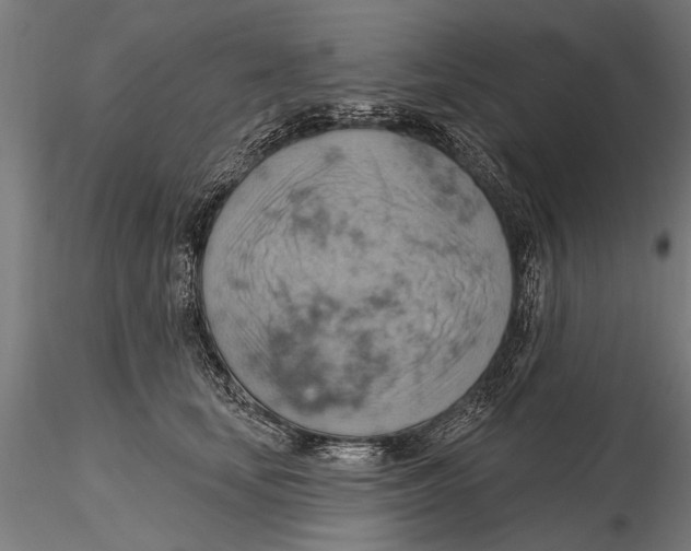 X0000115590659200912081050