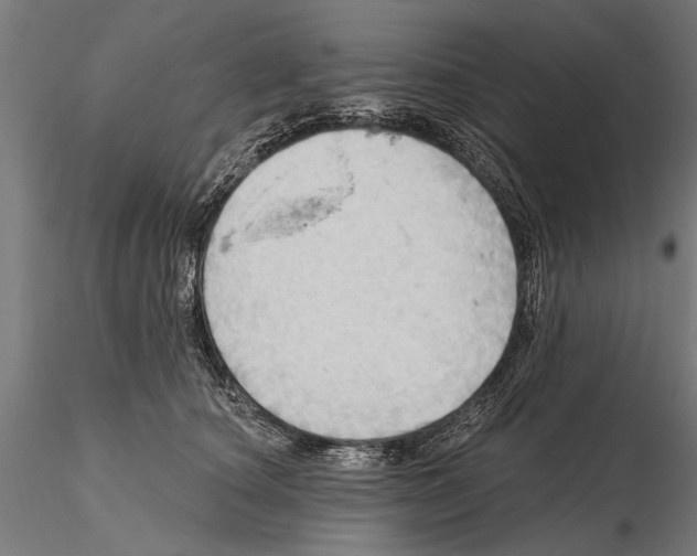 X0000115590660200912081050