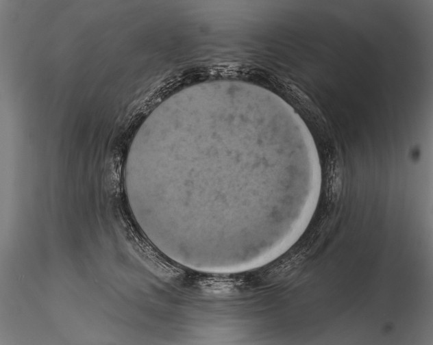 X0000115590661200912081050