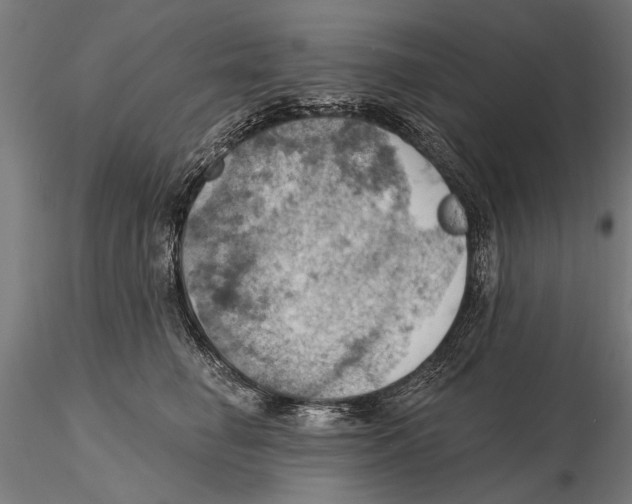 X0000115590662200912081050