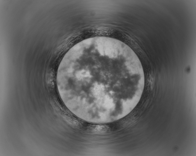 X0000115590663200912081050