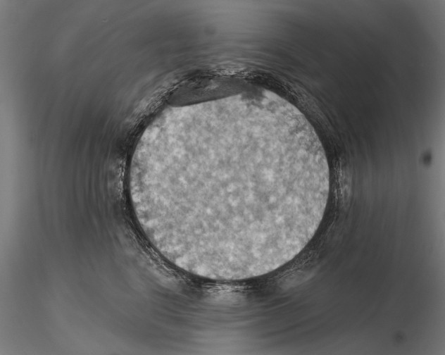 X0000115590664200912081050