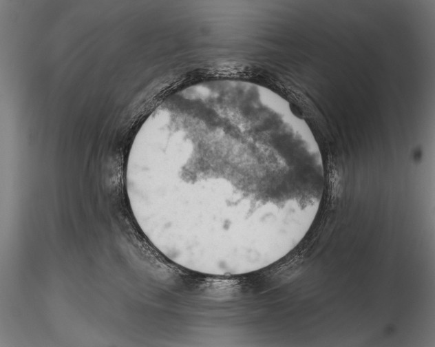 X0000115590665200912081050