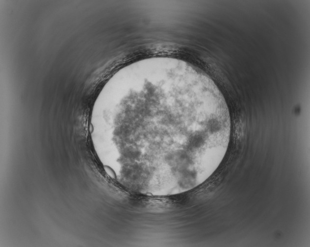 X0000115590666200912081050
