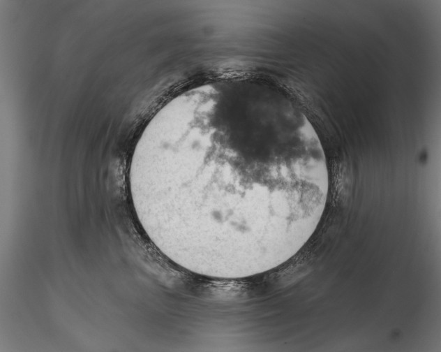 X0000115590667200912081050