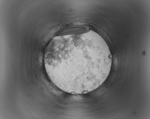 X0000115590668200912081050