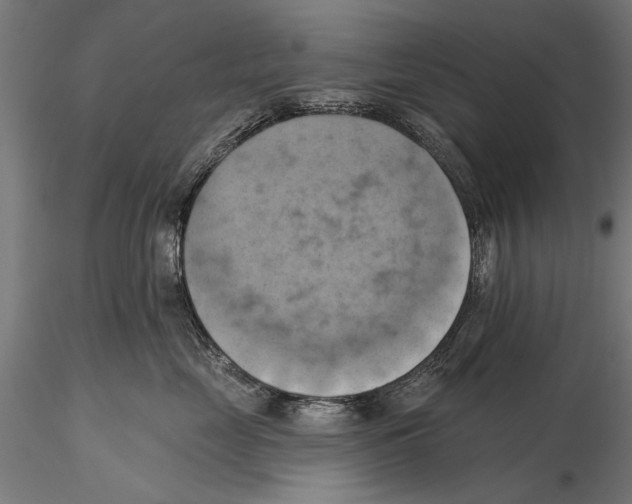 X0000115590669200912081050