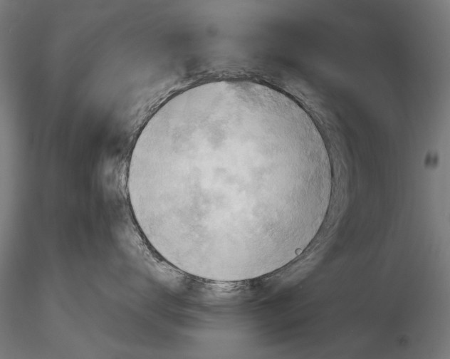X0000115590672200912081050
