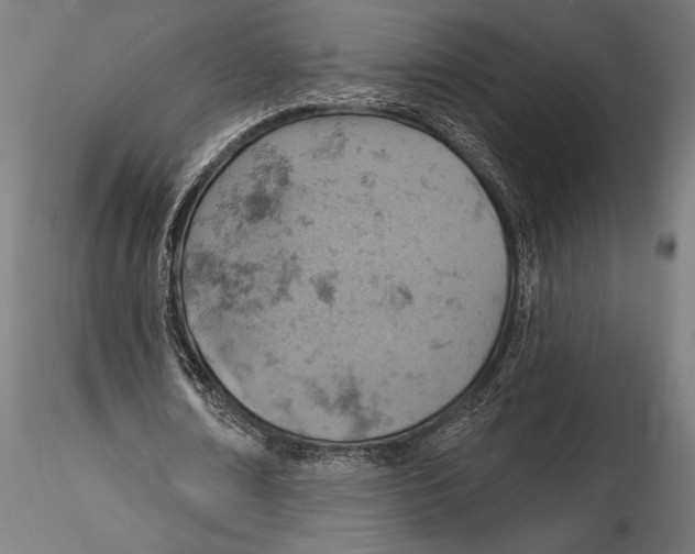X0000115590674200912081050