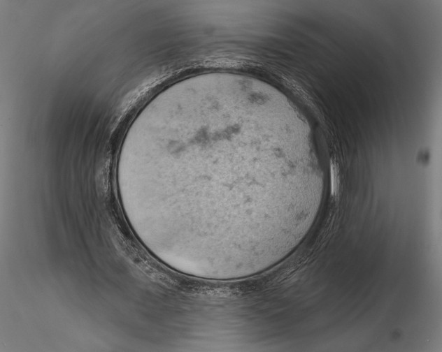 X0000115590675200912081050