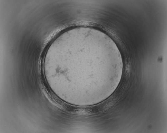 X0000115590678200912081049