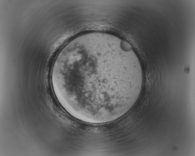 X0000115590679200912081049