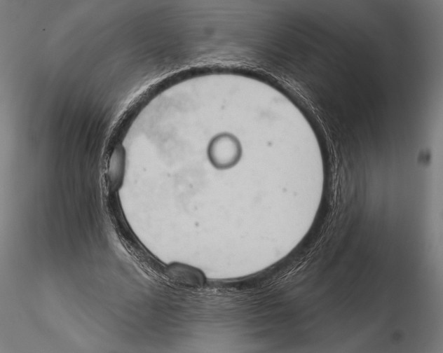 X0000115590680200912081049