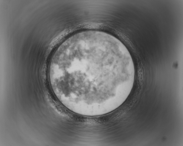 X0000115590682200912081049