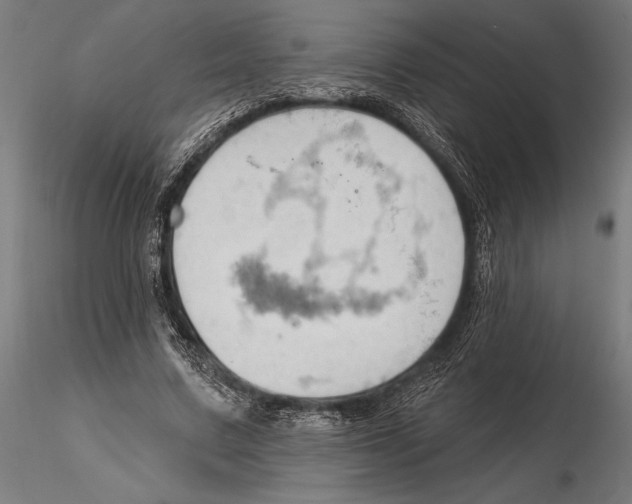 X0000115590683200912081049