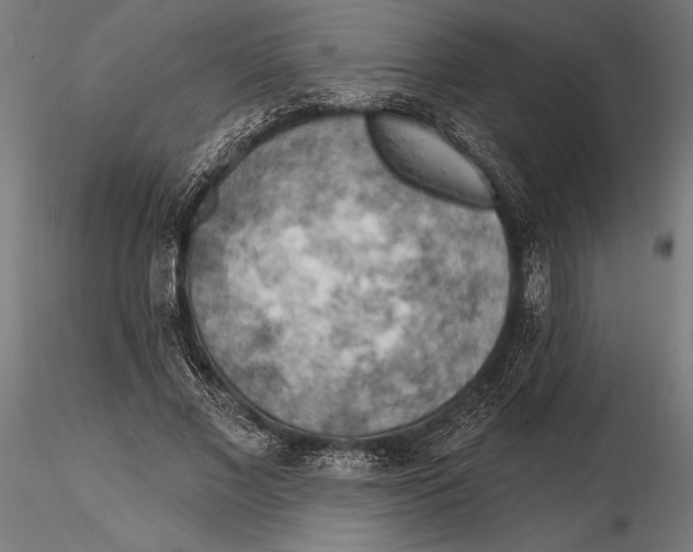 X0000115590685200912081049