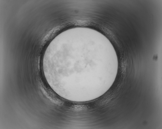 X0000115590686200912081049