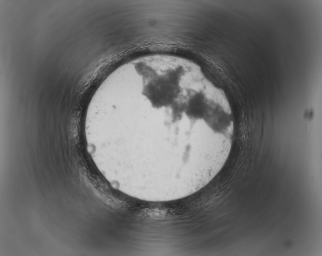 X0000115590687200912081049