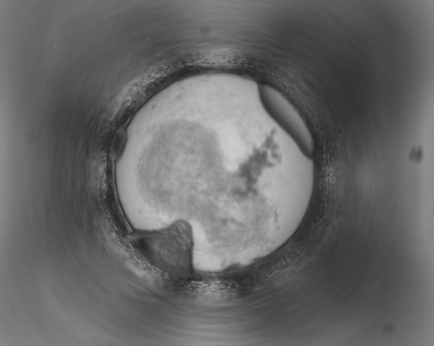 X0000115590688200912081049