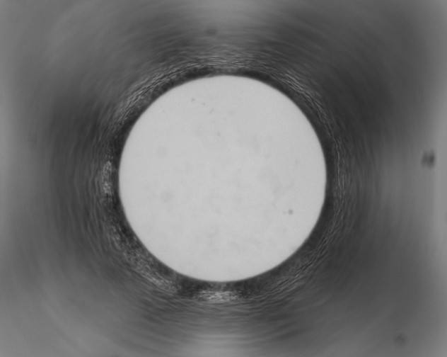 X0000115590689200912081049