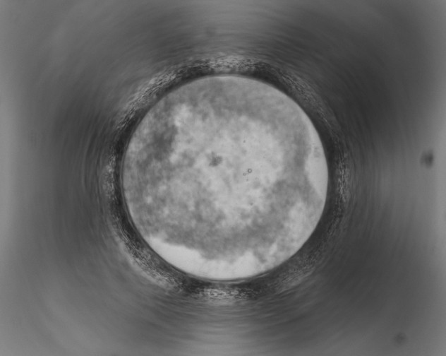 X0000115590690200912081049