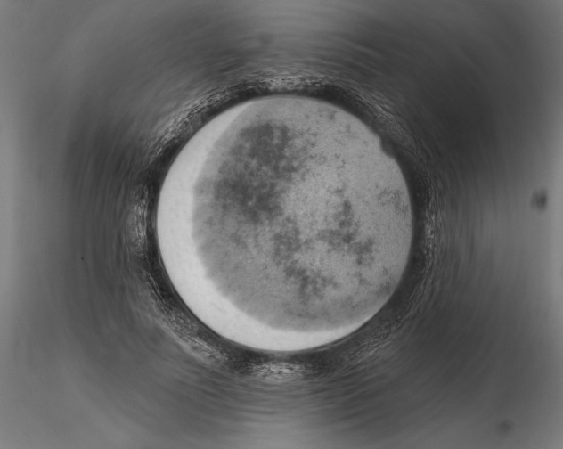 X0000115590691200912081049