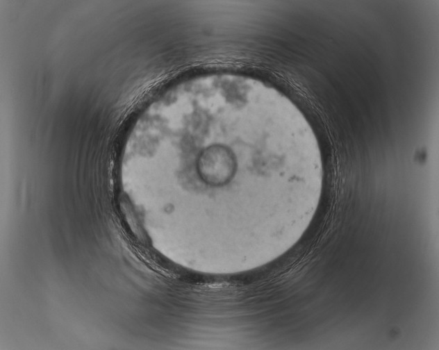 X0000115590692200912081049