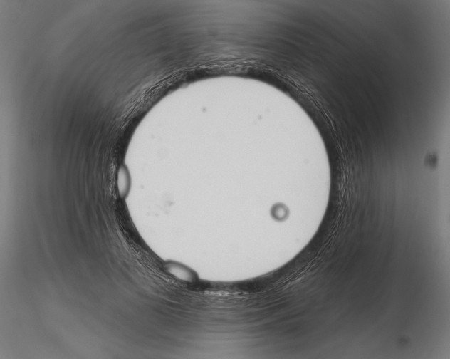 X0000115590693200912081049