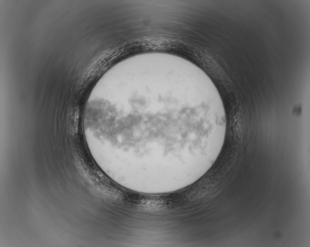 X0000115590694200912081049