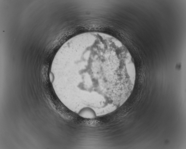 X0000115590695200912081049