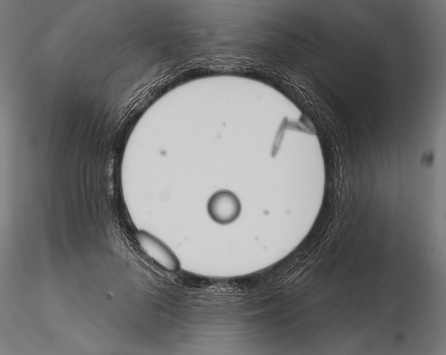 X0000115590696200912081049