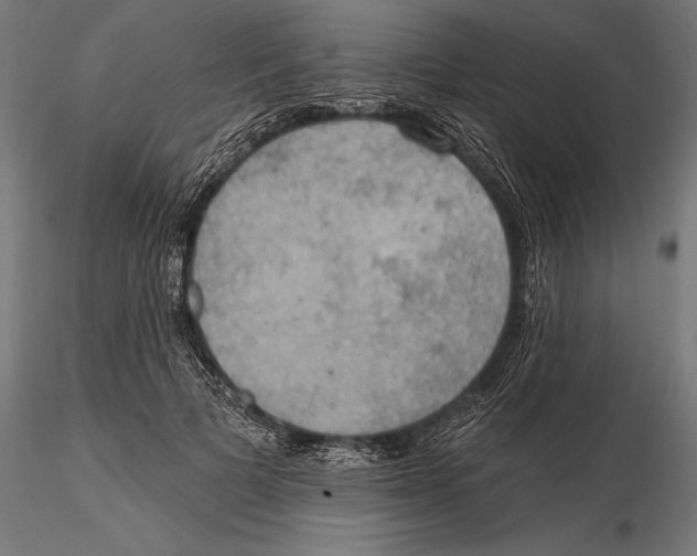 X0000115590697200912081049