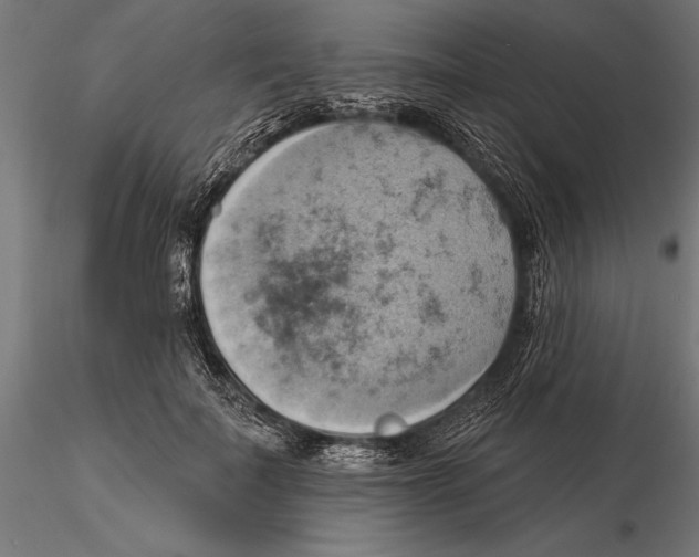 X0000115590699200912081049