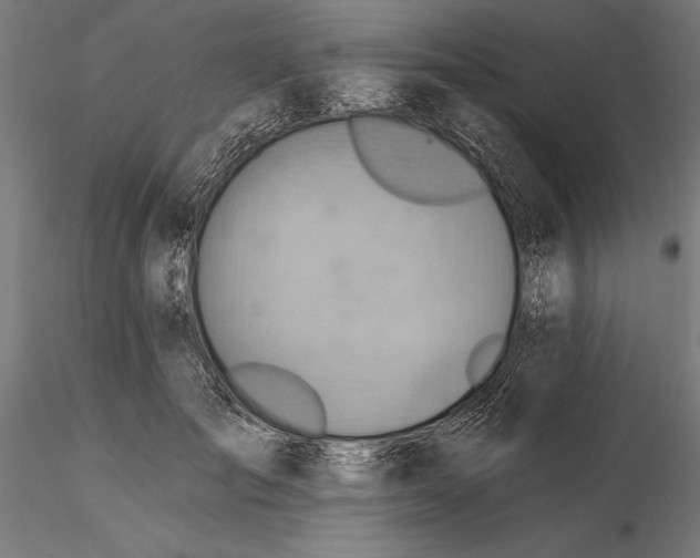 X0000115590701200912081049