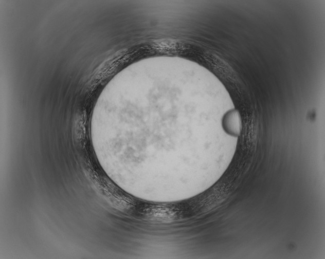 X0000115590702200912081049