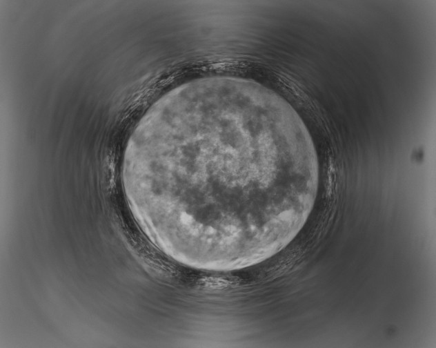 X0000115590703200912081049