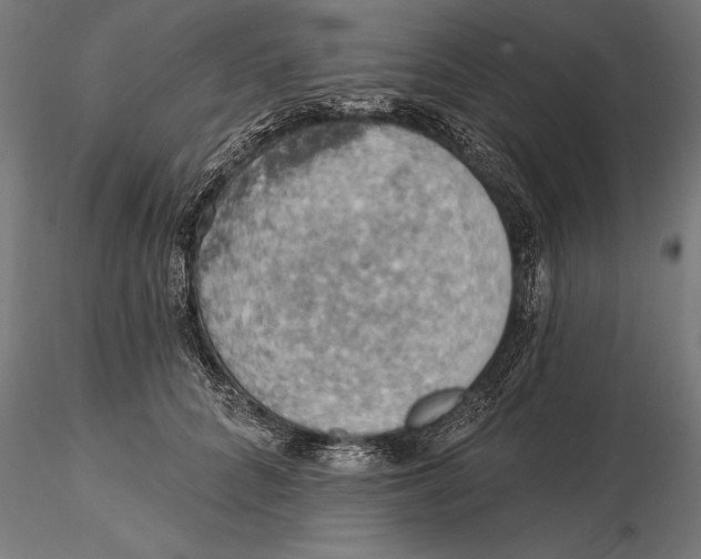 X0000115590704200912081049