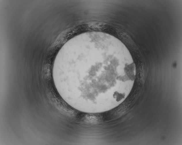 X0000115590706200912081049