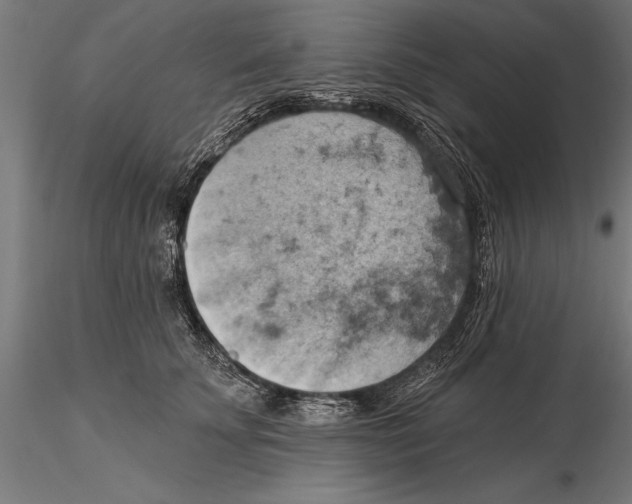 X0000115590707200912081049