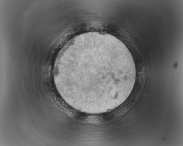 X0000115590708200912081049
