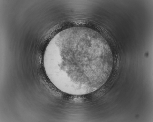 X0000115590710200912081049