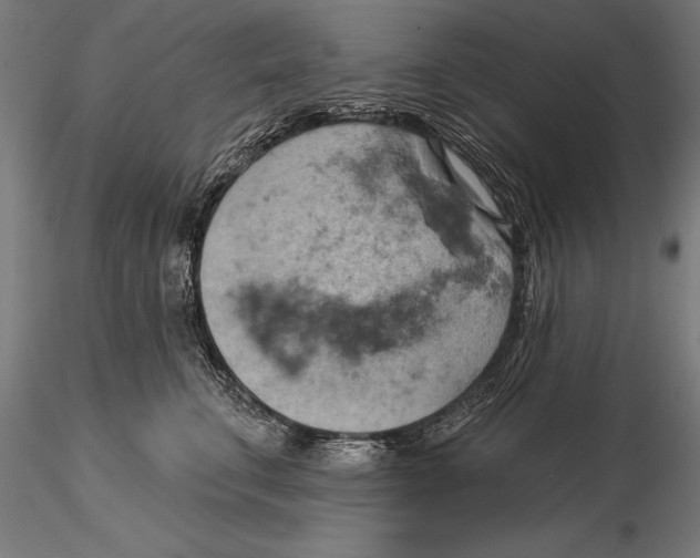 X0000115590711200912081049