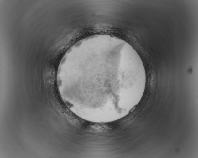 X0000115590712200912081049