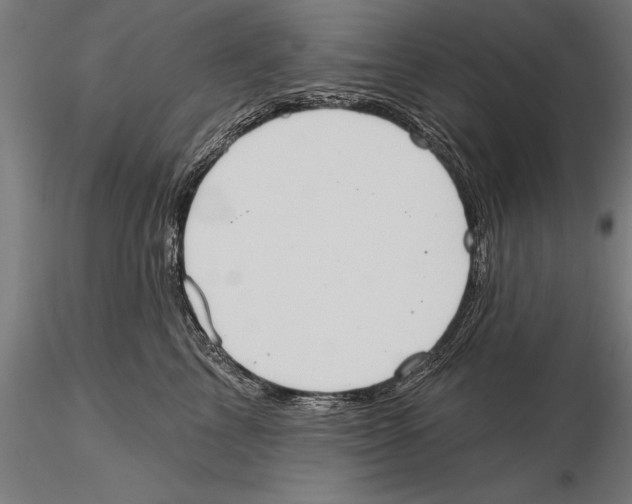 X0000115590713200912081049