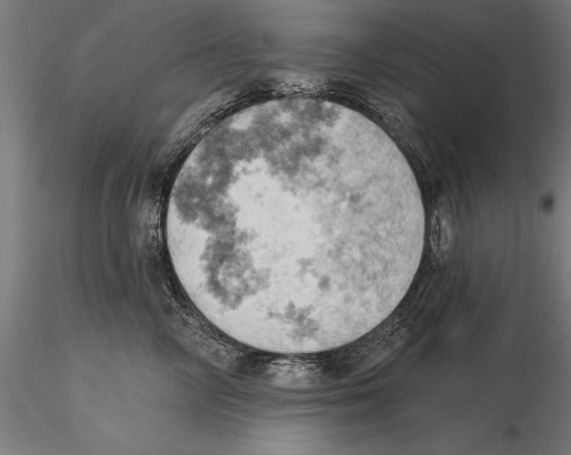 X0000115590714200912081049