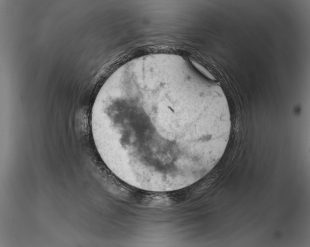 X0000115590715200912081049
